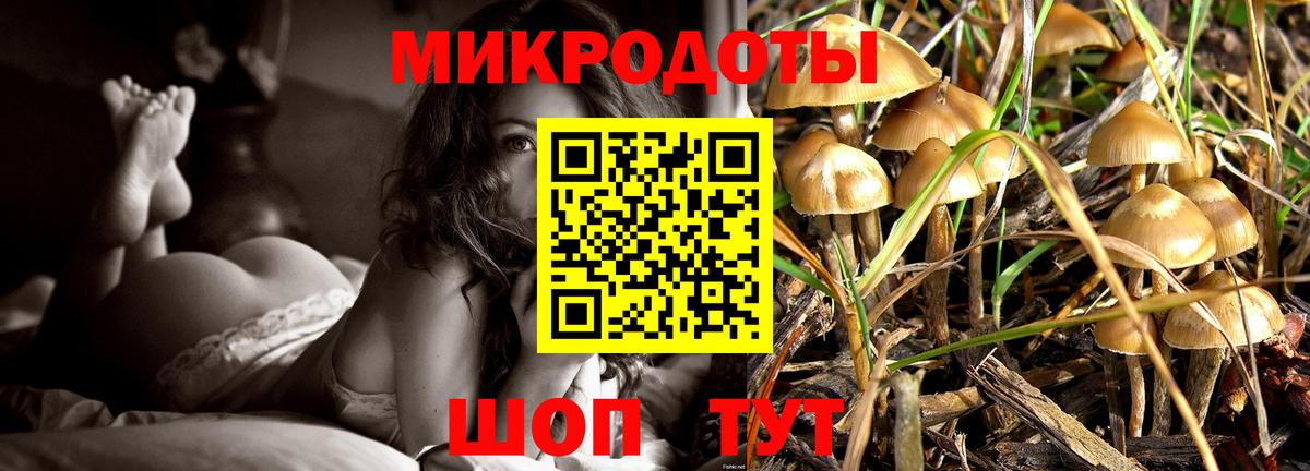 Псилоцибиновые грибы Magic Shrooms Михайловск