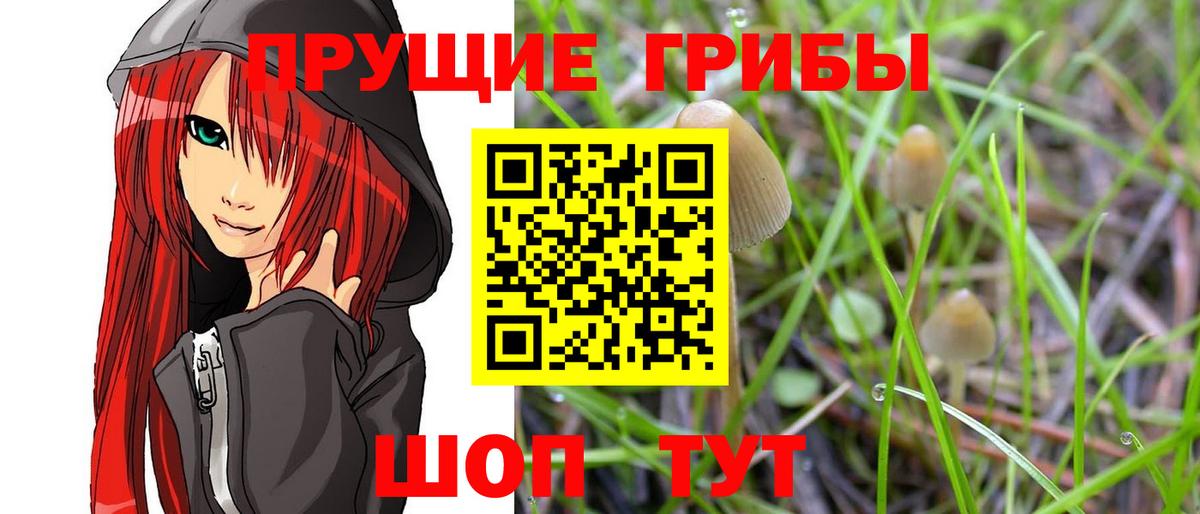 Канабис Михайловск