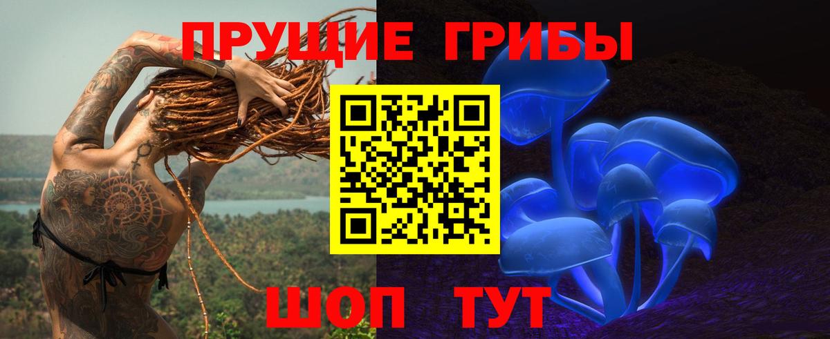 Михайловск  Псилоцибиновые грибы Magic Shrooms  Вход с VPN  Псилоцибиновые грибы Psilocybine cubensis 